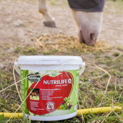 Nutrilife + Ravene Nutrilife + Ravene