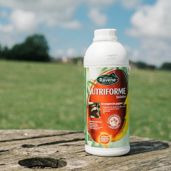 Nutriforme Ravene Nutriforme Ravene