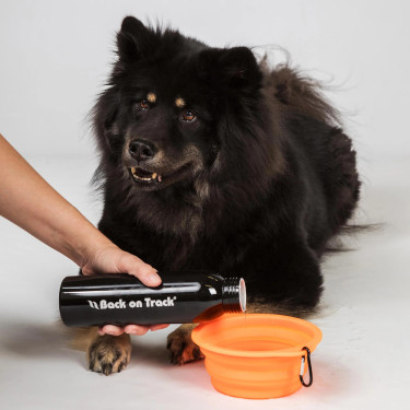 Comedero para perro Back on Track