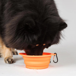 Comedero para perro Back on Track
