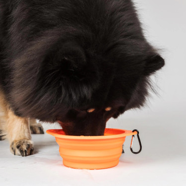 Comedero para perro Back on Track