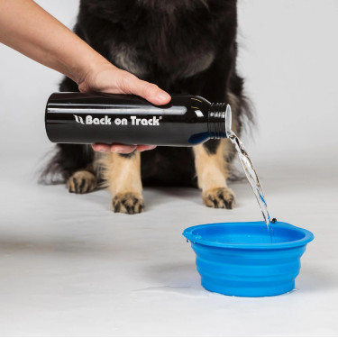 Comedero para perro Back on Track