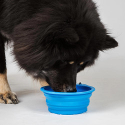 Comedero para perro Back on Track