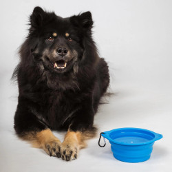 Comedero para perro Back on Track
