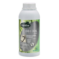 BECOOL