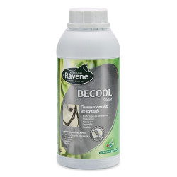 BECOOL BECOOL