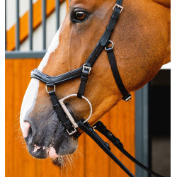 Brida anatómica de competición para equitación Micklem Brida anatómica de competición para equitación Micklem