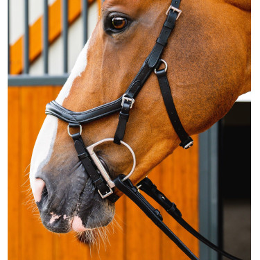 Brida anatómica de competición para equitación Micklem Brida anatómica de competición para equitación Micklem