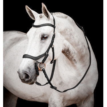 Brida anatómica de competición para equitación