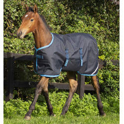 Manta de equitación impermeable para potros 200g Manta de equitación impermeable para potros 200g