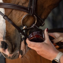 Bálsamo labial equitación sabor almendra 125 ml | equi-clic Bálsamo labial equitación sabor almendra 125 ml | equi-clic