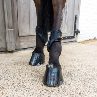 Protectores menudillo potro L choco | Equitación FEI