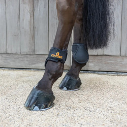 Protectores de menudillo para potros Classic choco Talla L Negro
