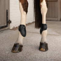 Protectores de menudillo equitación FEI color chocolate L