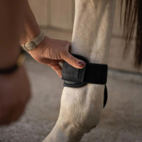 Protectores de menudillo equitación FEI color chocolate L