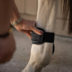 Protectores de menudillo Young Horses Pro chocolate L Negro