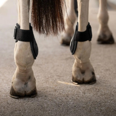 Protectores de menudillo Young Horses Pro chocolate L Negro
