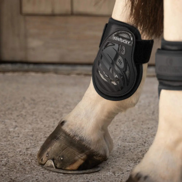 Protectores de menudillo Young Horses Pro chocolate L Negro