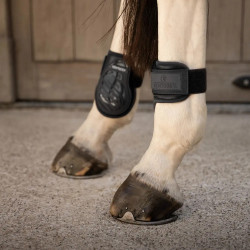 Protectores de menudillo Young Horses Pro chocolate L Negro