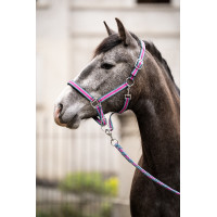 Cabezada set con mosquetón Manchester- HKM