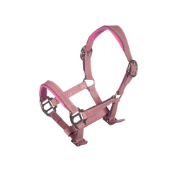Cabezada de cuero Pink Hobby Horsing- HKM