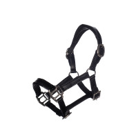 Cabezada de cuero Lacado Hobby Horsing- HKM
