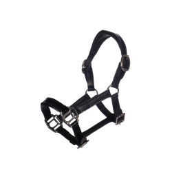 Cabezada de cuero Lacado Hobby Horsing- HKM