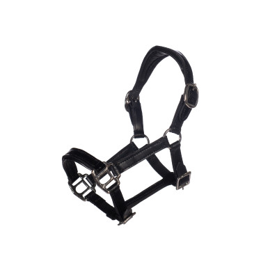 Cabezada de cuero Lacado Hobby Horsing- HKM