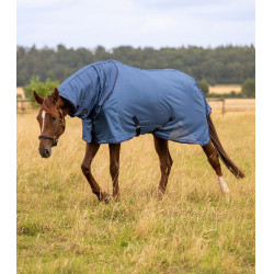 Manta antimoscas para caballo Waldhausen FlyControl