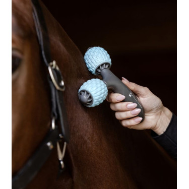 Rodillos de masaje equinos dobles Waldhausen | Equi-Clic