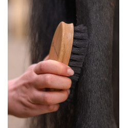 Cepillo de crin Waldhausen Exclusive Line para equitación
