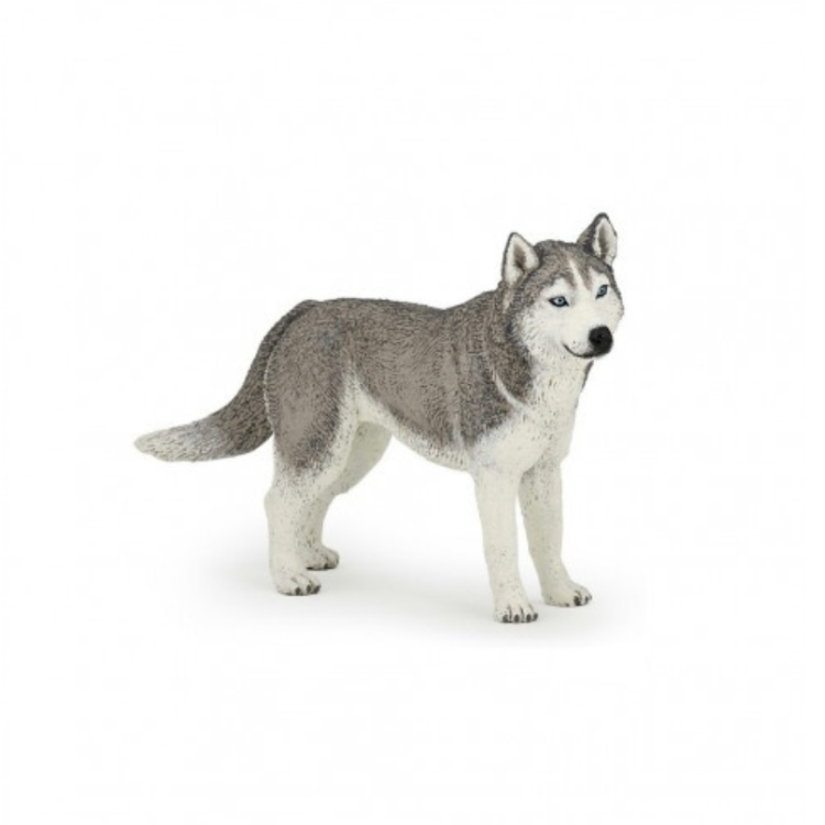 Figurita huski de Siberia Papo