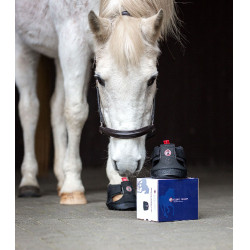 Hiposandalias de trekking Equine Fusion® Slim Negro