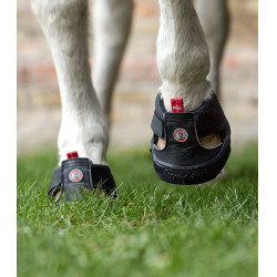 Hiposandalias de trekking Equine Fusion® Negro