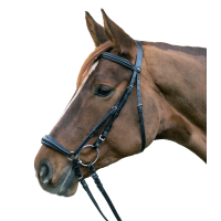 Bridon Star Hannover Negro