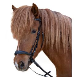 Bridon Star Hannover Negro