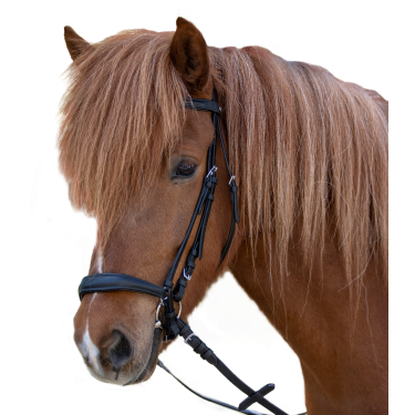 Bridon Star Hannover Negro