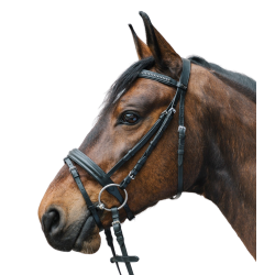 Brida inglesa Star Diamond para equitación
