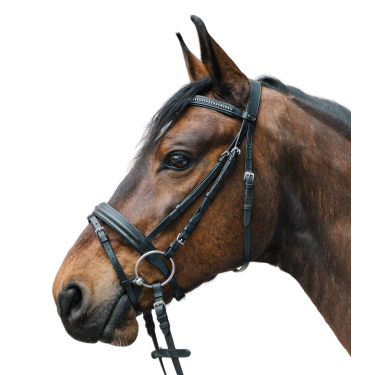 Brida inglesa Star Diamond para equitación
