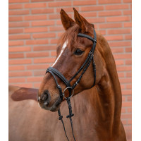 Bridon Star Diamond Negro