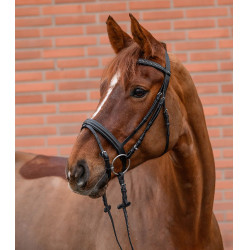 Brida inglesa Star Diamond para equitación