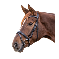 Cabezada inglesa equitación Waldhausen STAR