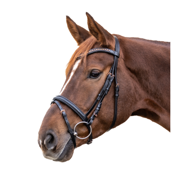 Cabezada inglesa equitación Waldhausen STAR