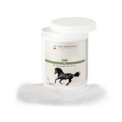 Suplemento de zinc para caballos – Casco y piel sana