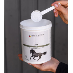 Suplemento de zinc para caballos – Casco y piel sana