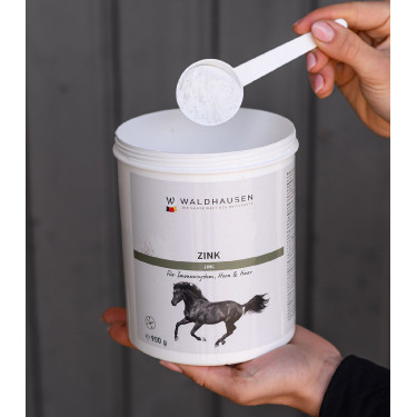 Suplemento de zinc para caballos – Casco y piel sana