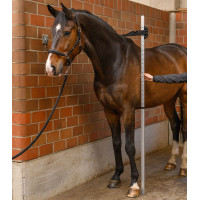 Toisón Waldhausen caballo Gris