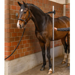 Toisón de medición equina Waldhausen