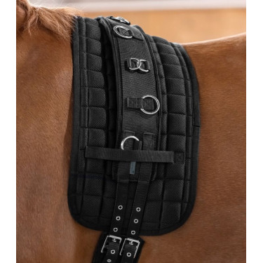 Cinchón Waldhausen Supersoft Negro