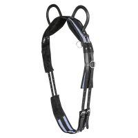 Cinchuelo Waldhausen 2 asas Negro / Gris